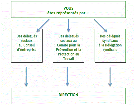 Schéma représentation